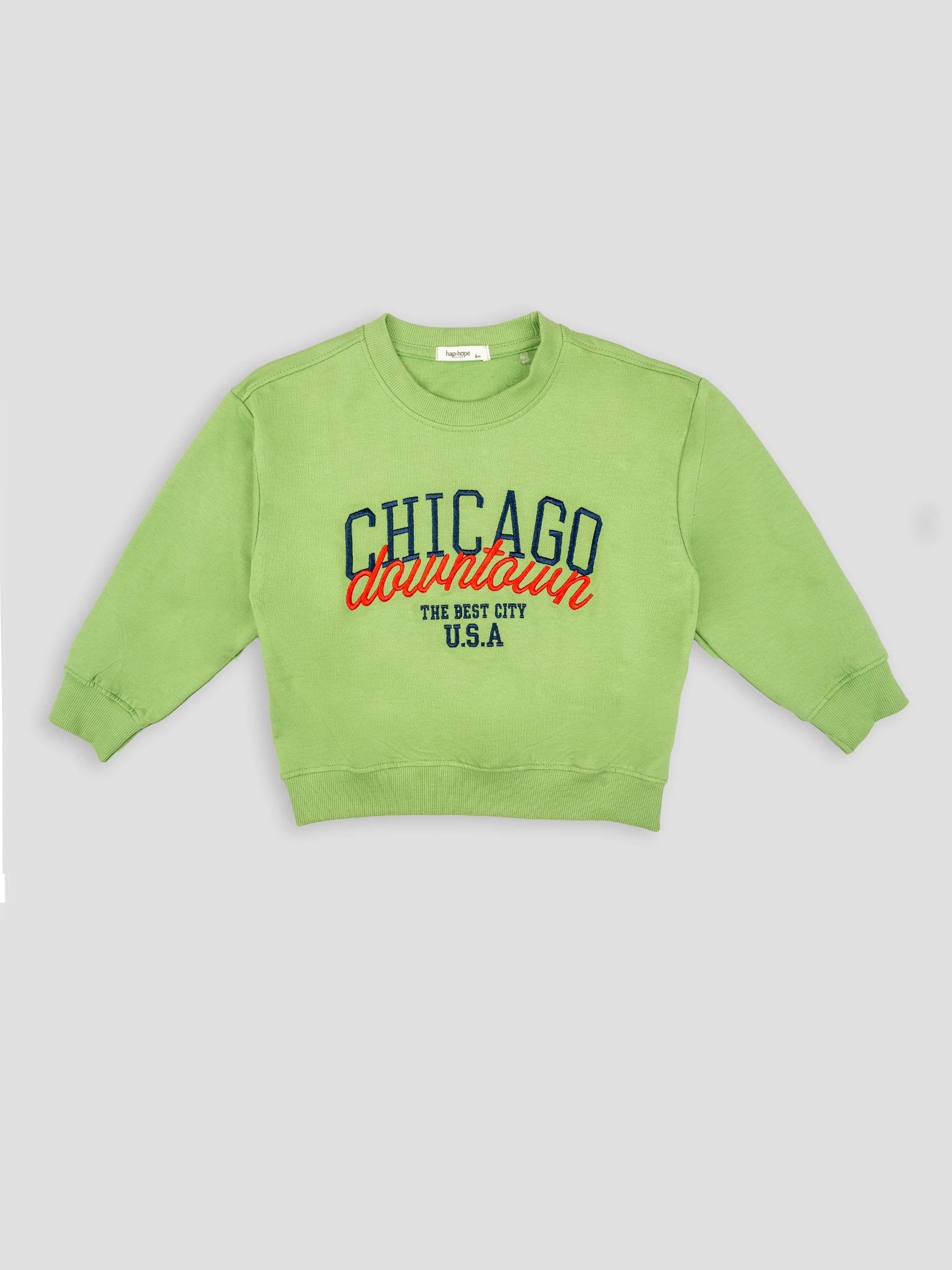 Hap&Hope Printed Round Neck Full Sleeve Sweatshirt for Boys