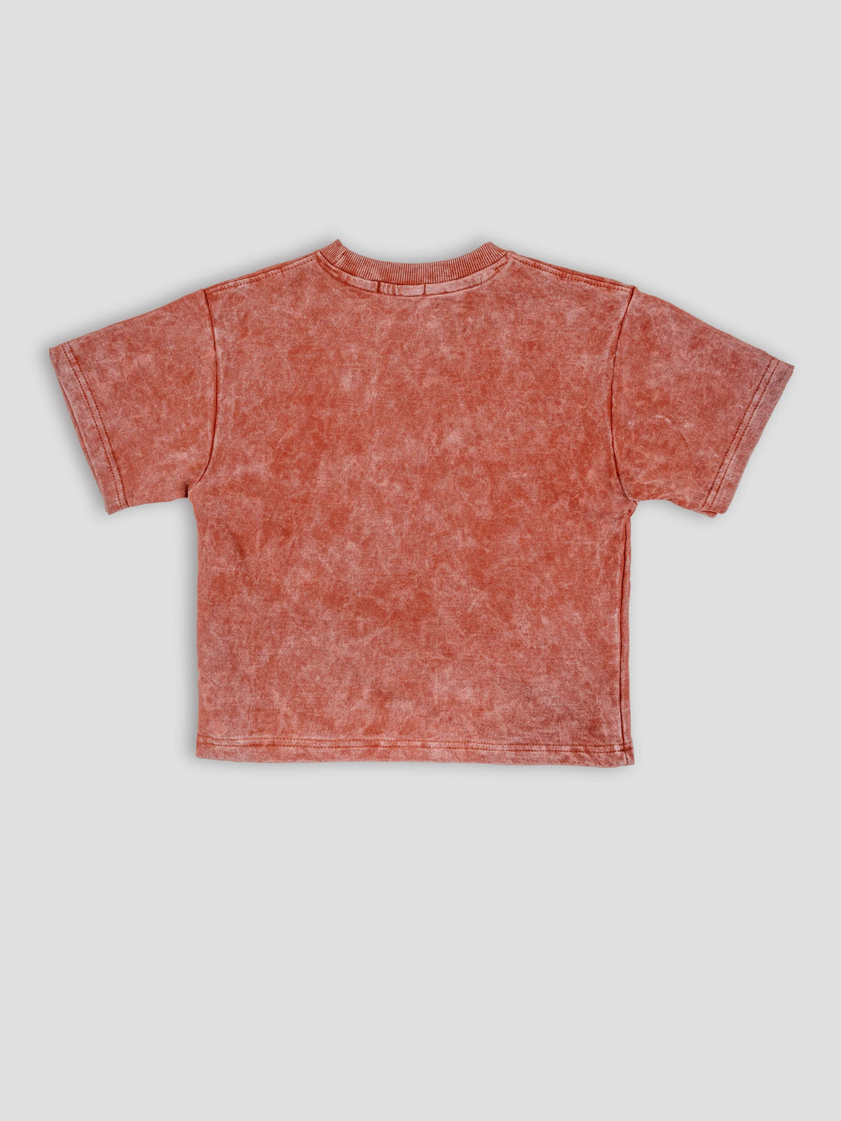 Hap & Hope Boys Printed Relaxed Fit Cotton Half Sleeve Round Neck T-Shirt