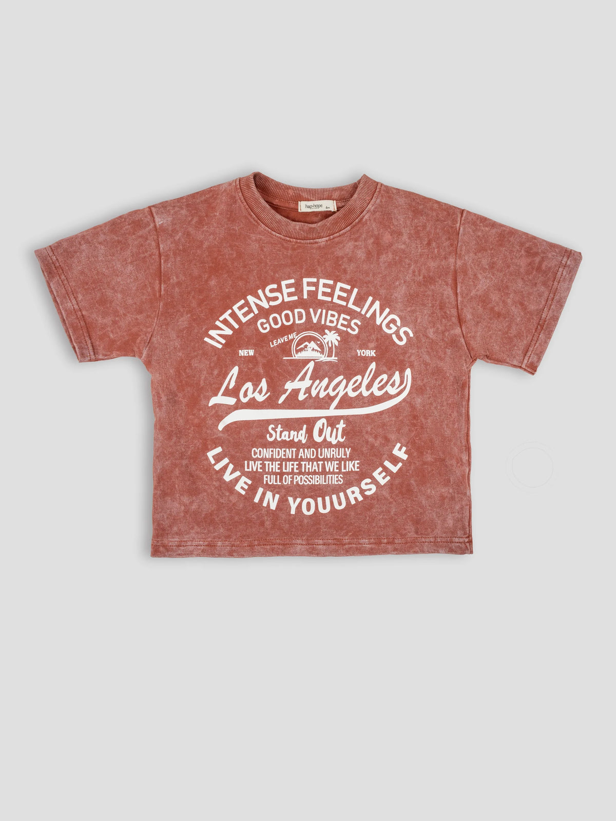 Hap & Hope Boys Printed Relaxed Fit Cotton Half Sleeve Round Neck T-Shirt