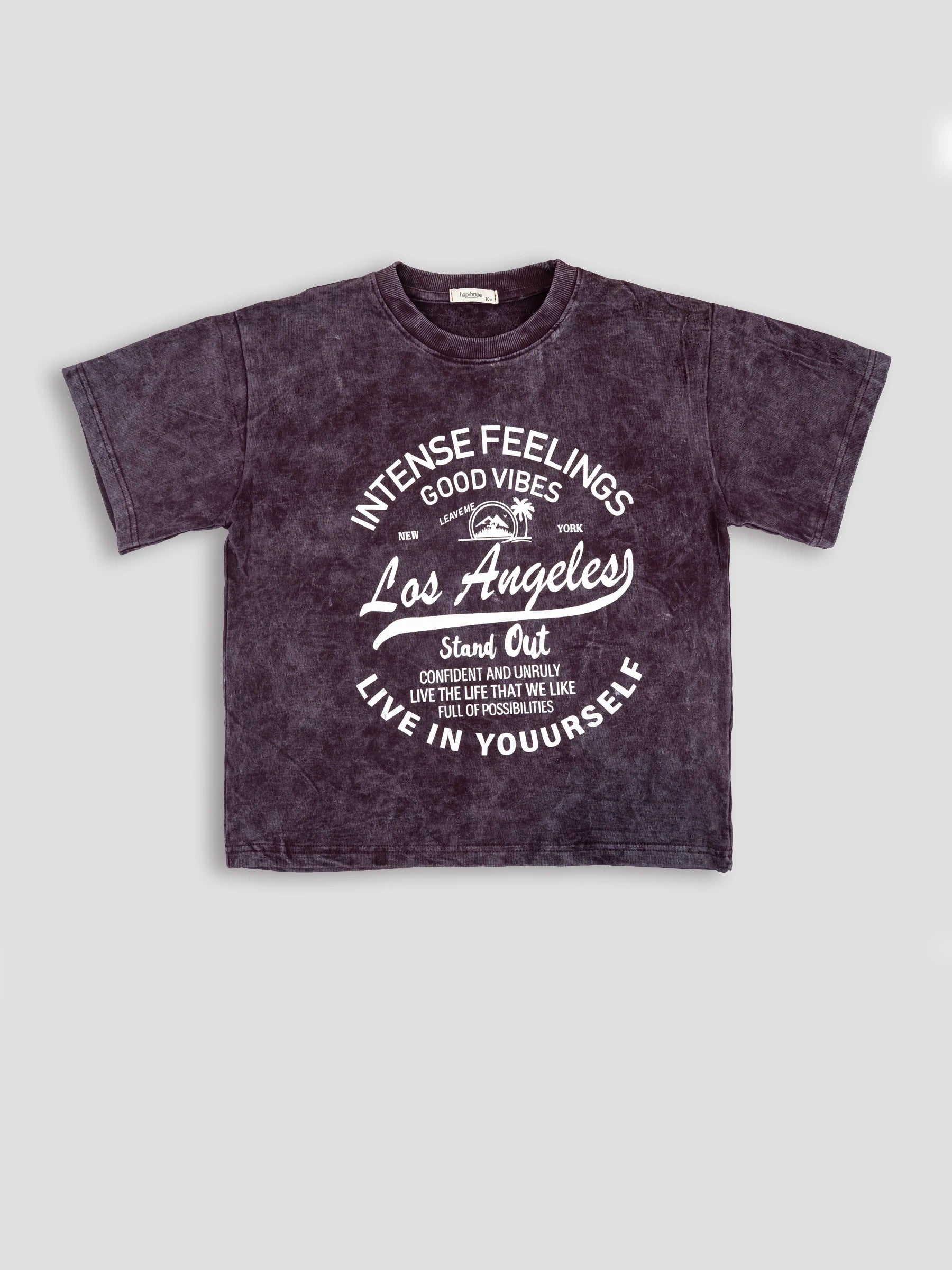 Hap & Hope Boys Printed Relaxed Fit Cotton Half Sleeve Round Neck T-Shirt