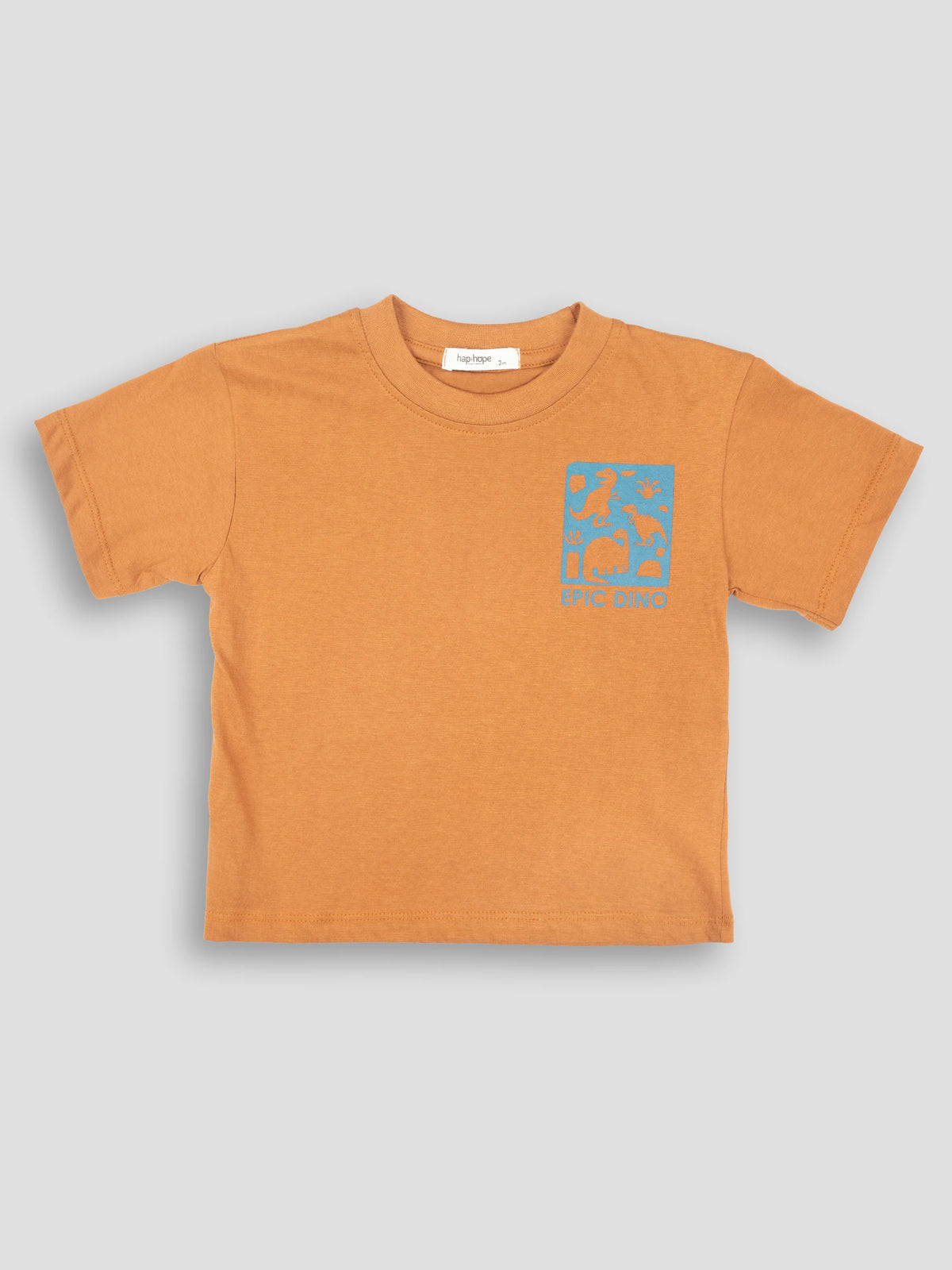 Hap&Hope Epic Dino Print Round Neck Half Sleeve T-Shirt for Boys