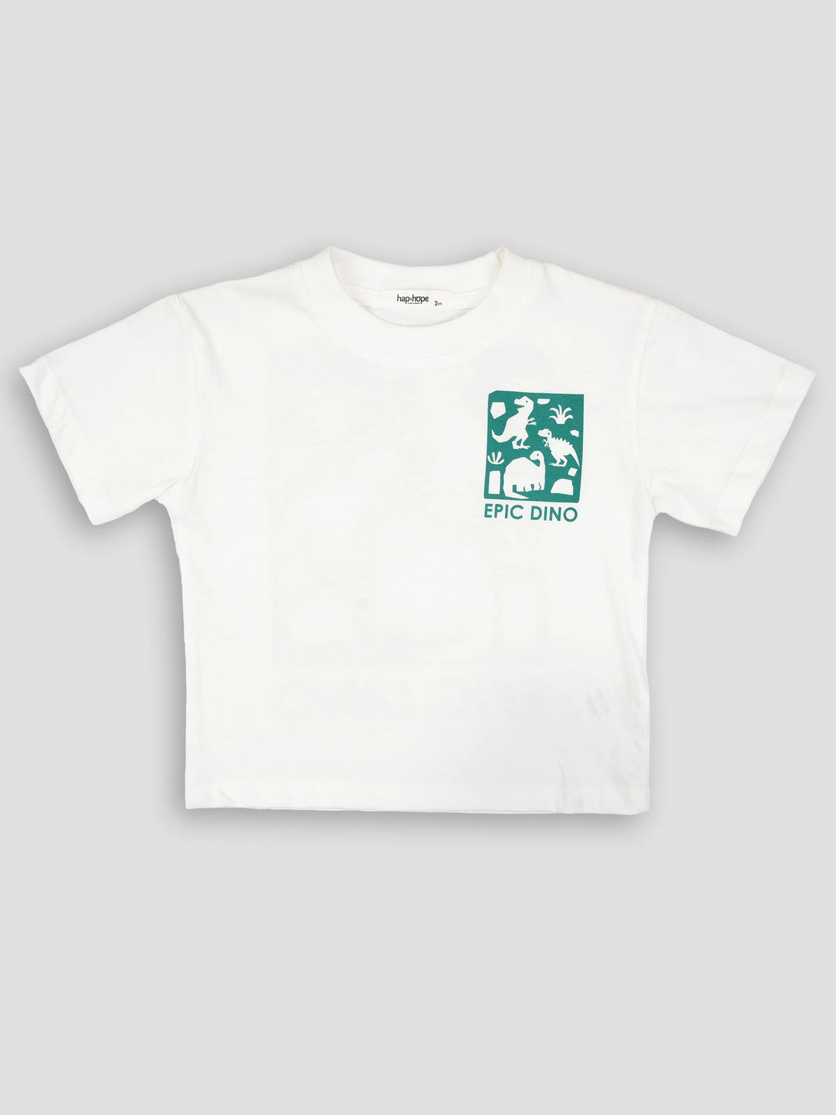 Hap&Hope Epic Dino Print Round Neck Half Sleeve T-Shirt for Boys