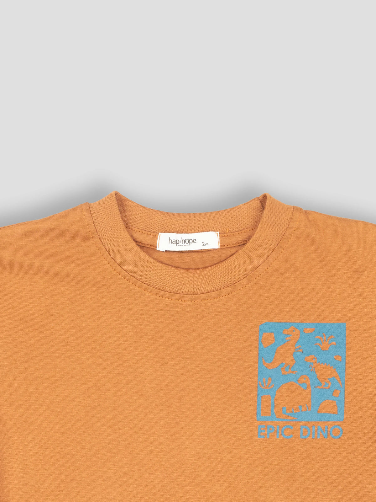 Hap&Hope Epic Dino Print Round Neck Half Sleeve T-Shirt for Boys