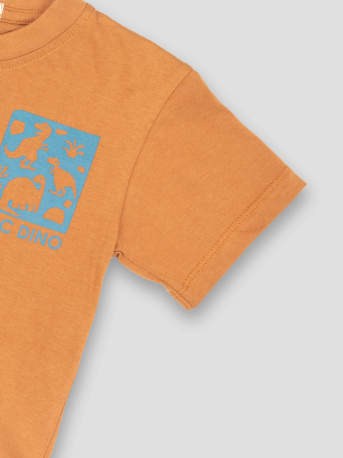 Hap&Hope Epic Dino Print Round Neck Half Sleeve T-Shirt for Boys