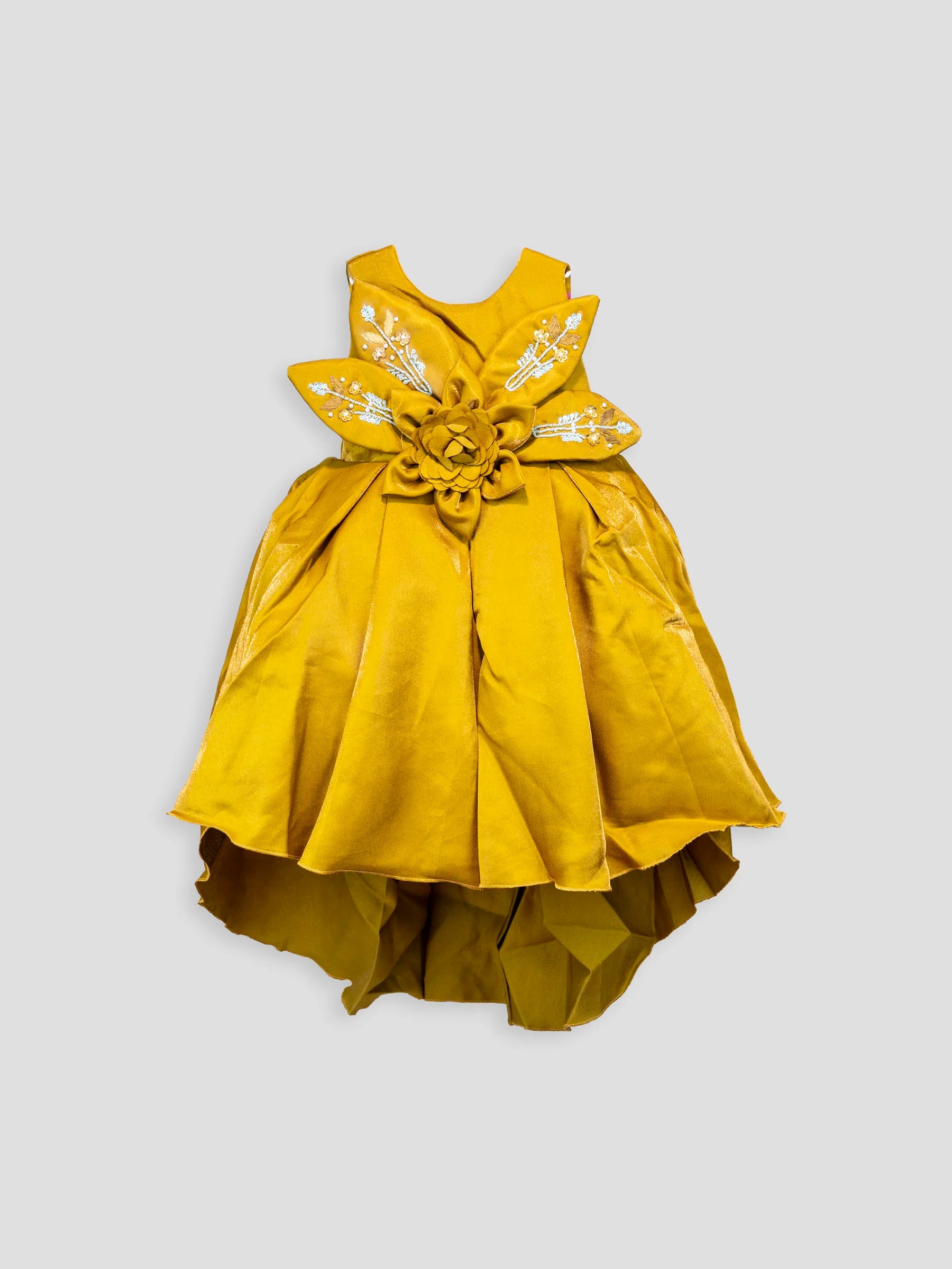 Hap & Hope  Floral Applique Party Wear Frock For Girls