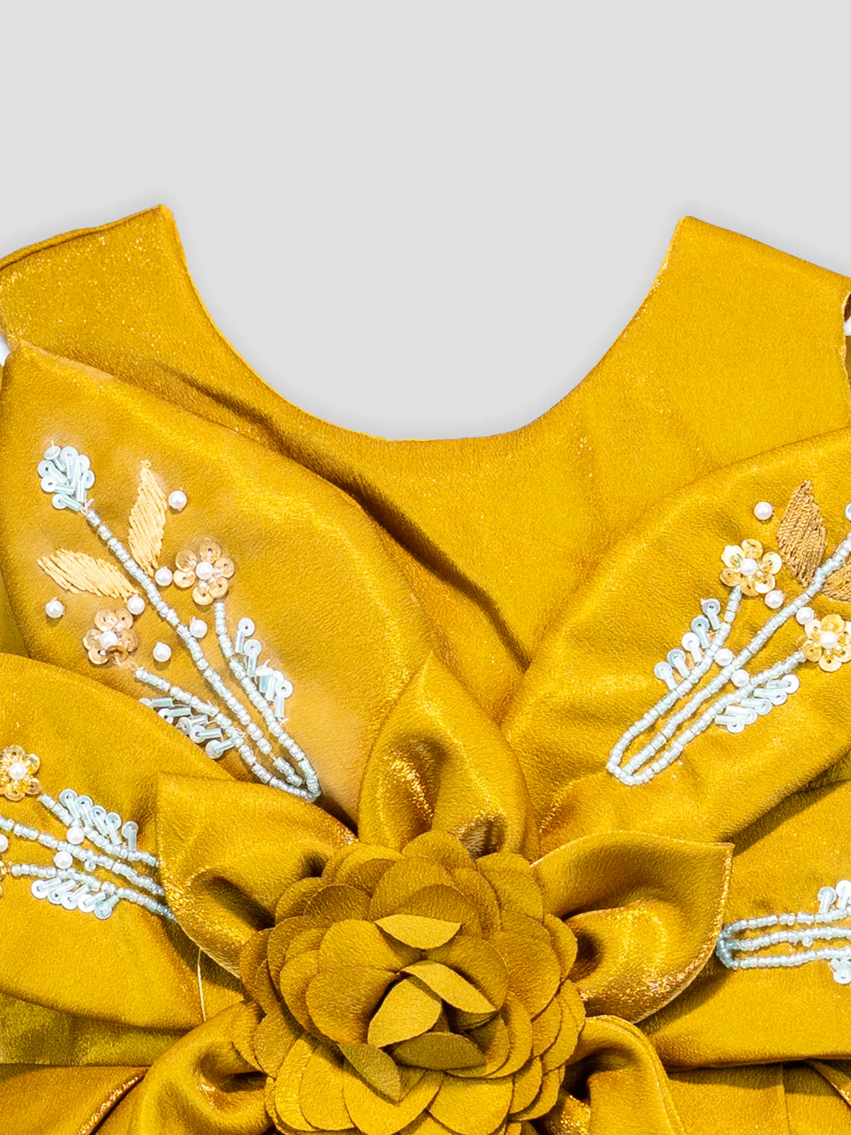 Hap & Hope  Floral Applique Party Wear Frock For Girls