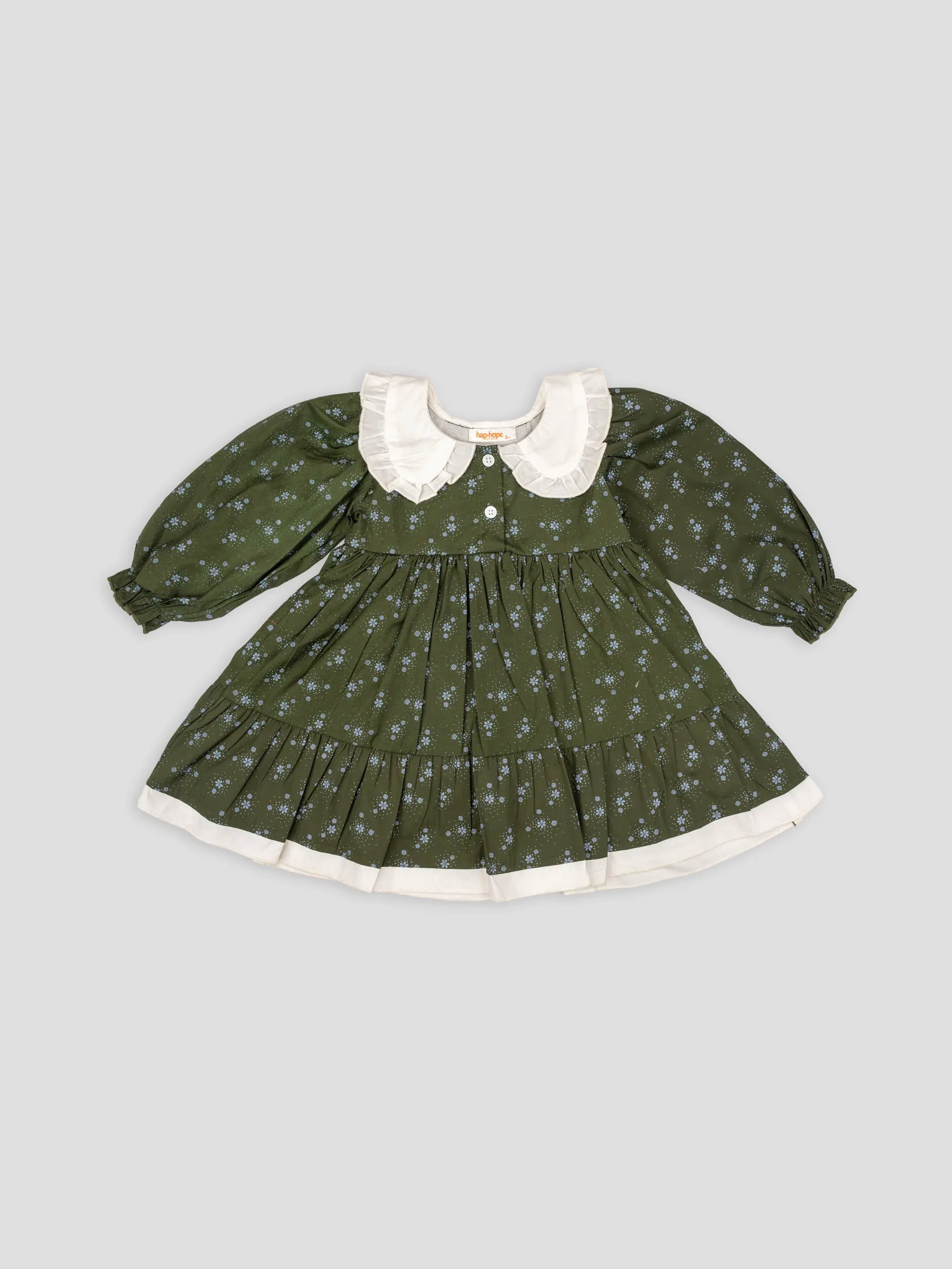 Hap & Hope  Floral Print Full Sleeve Casual Frock For Girls