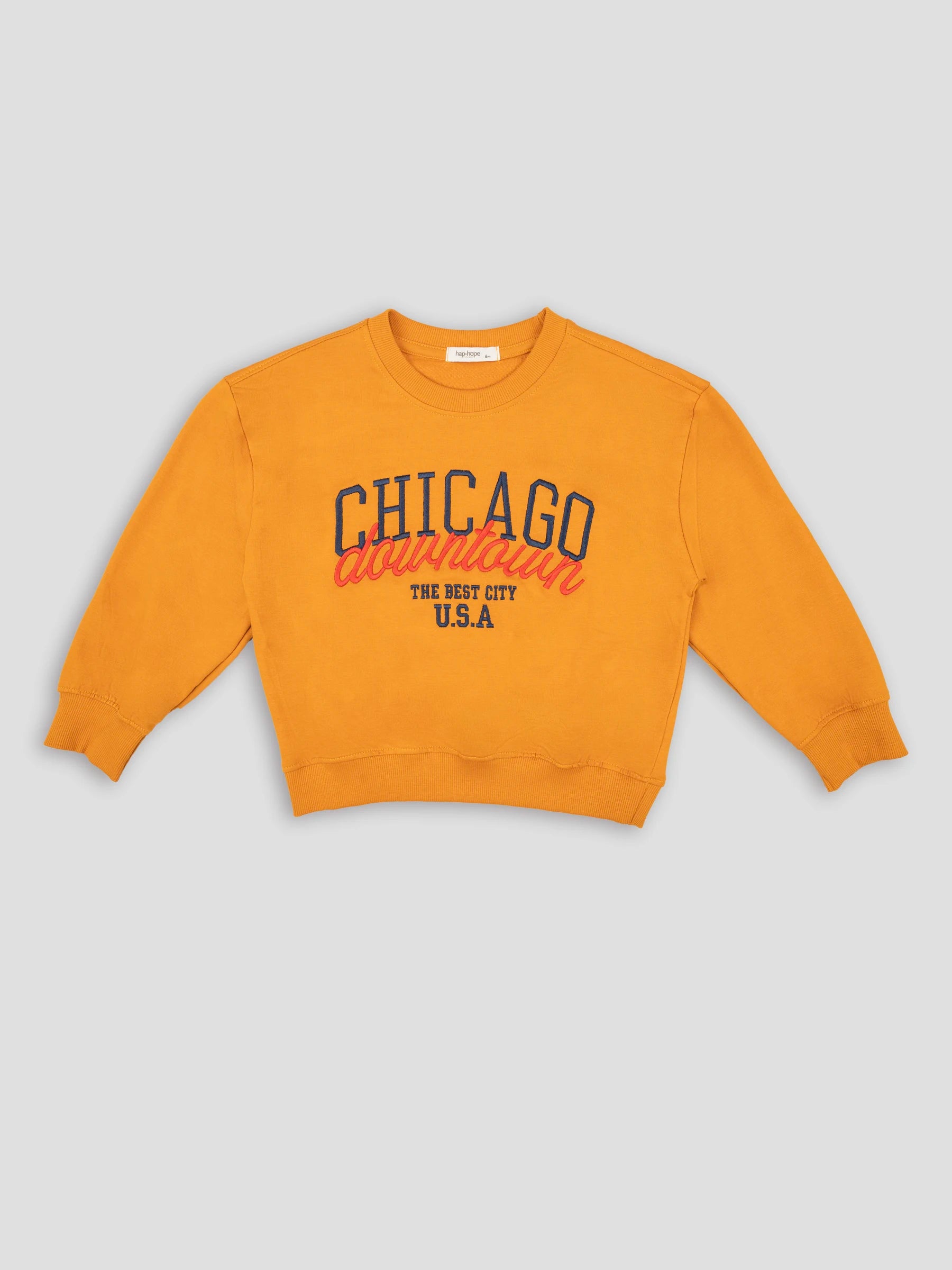 Hap & Hope  Printed Full Sleeve Cotton T-Shirt For Boys