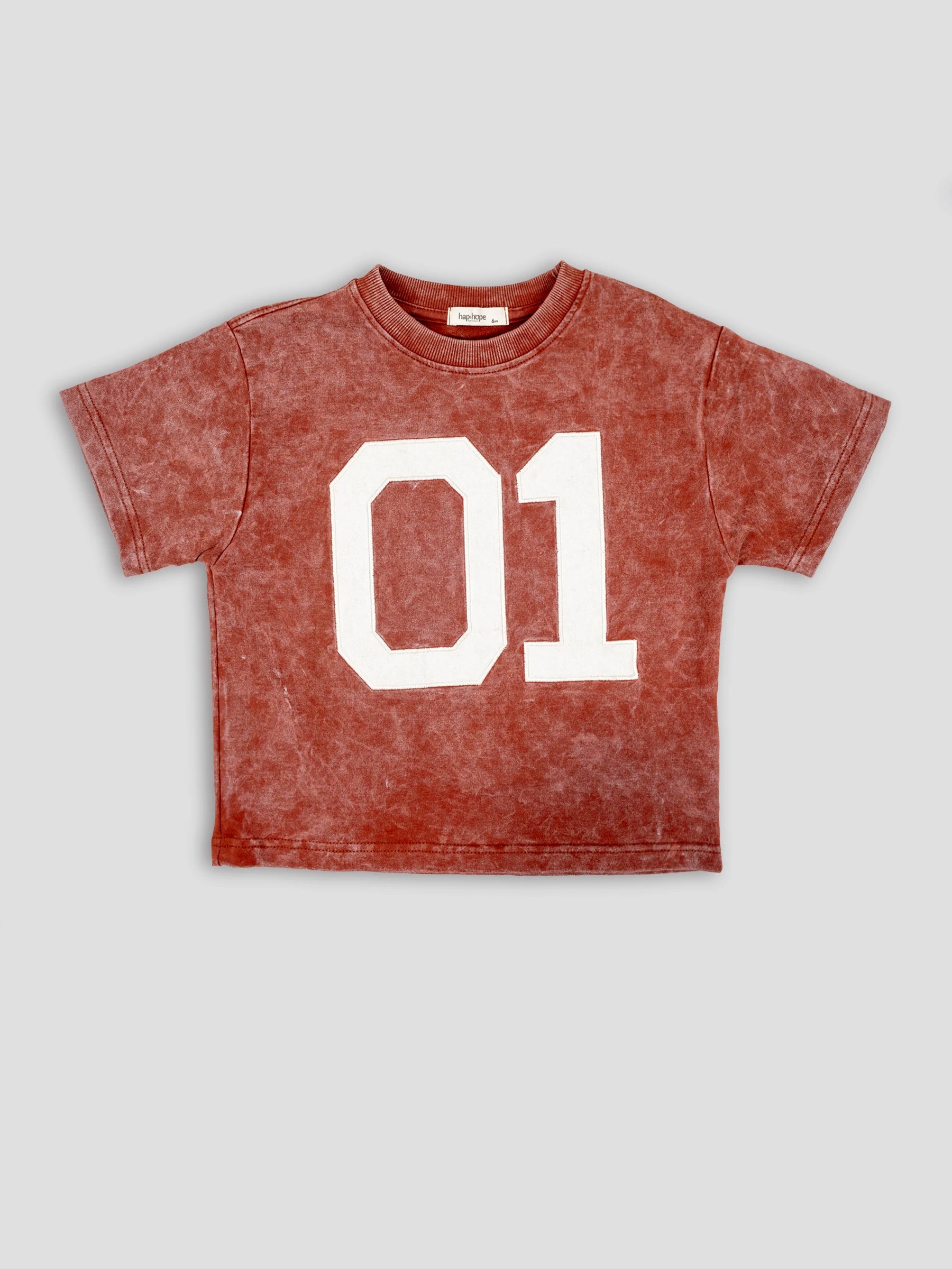 Hap & Hope Printed Round Neck  Half Sleeve Cotton T-Shirt for Boys