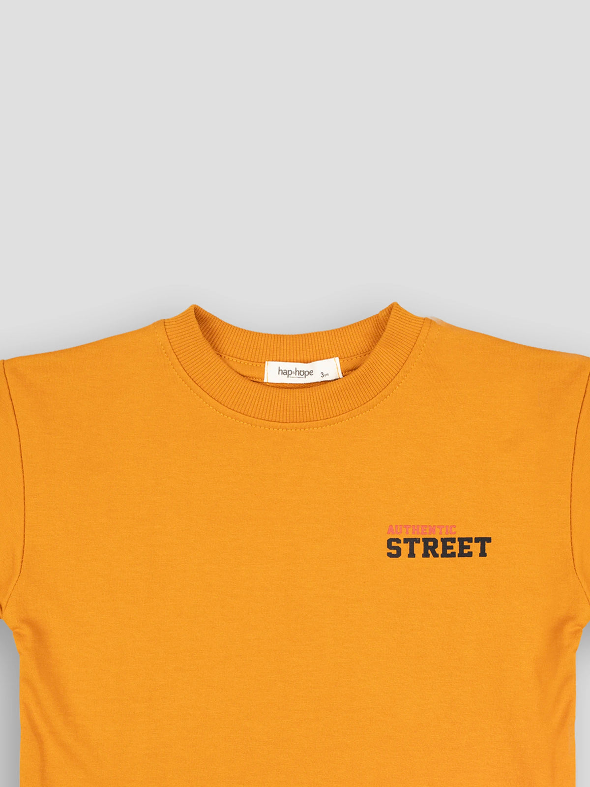 Hap&Hope Printed Round Neck Half Sleeve T-Shirt for Boys