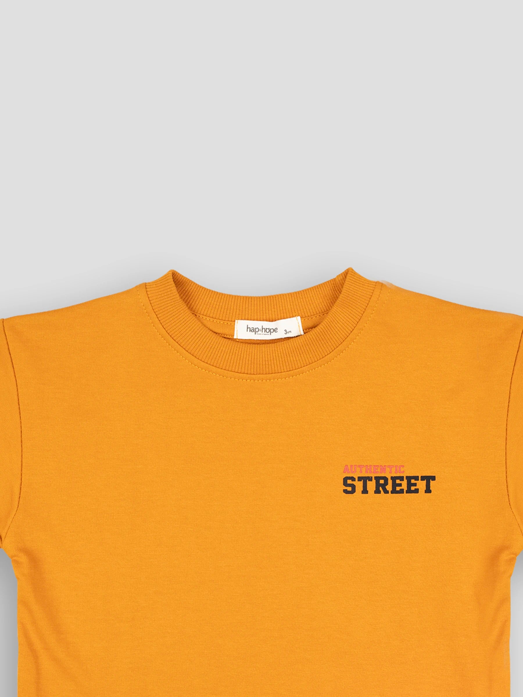 Hap&Hope Printed Round Neck Half Sleeve T-Shirt for Boys